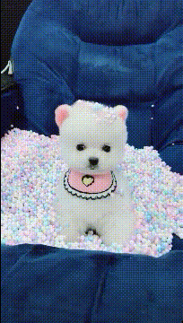 0fe9433c68e548b5a1cc1d9cd5823c50.gif